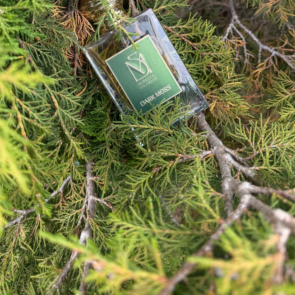 Muneefa Sulaiman Dark Moss bottle resting in cypress foliage