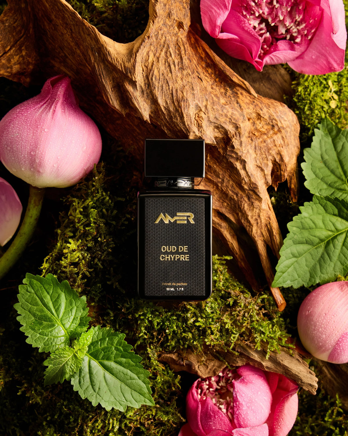 KSI Feature - Amer Perfumes Oud de Chypre on moss among agarwood, pink lotus and patchouli