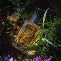 Extra Virgo Monte Kush | 50ml Extrait de Parfum