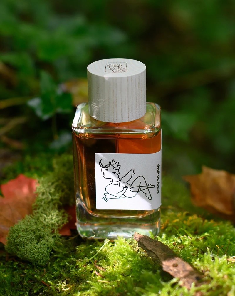 KSI Feature - Hellenist Eveil du Faune on woodland moss among autumn leaves