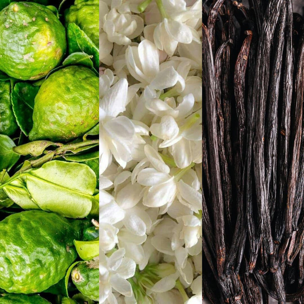 Rania J. Jasmin Kama raw materials, lime, jasmine and vanilla