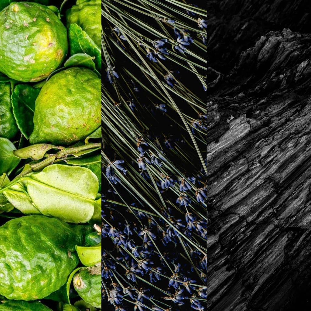 Rania J. Lavande 44 raw materials, lime, lavender and charred wood