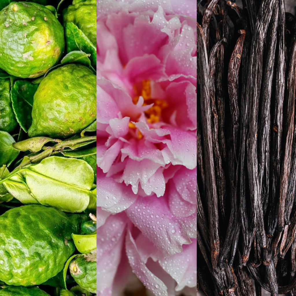 Rania J. Rose Ishtar raw materials, bergamot, peony and vanilla