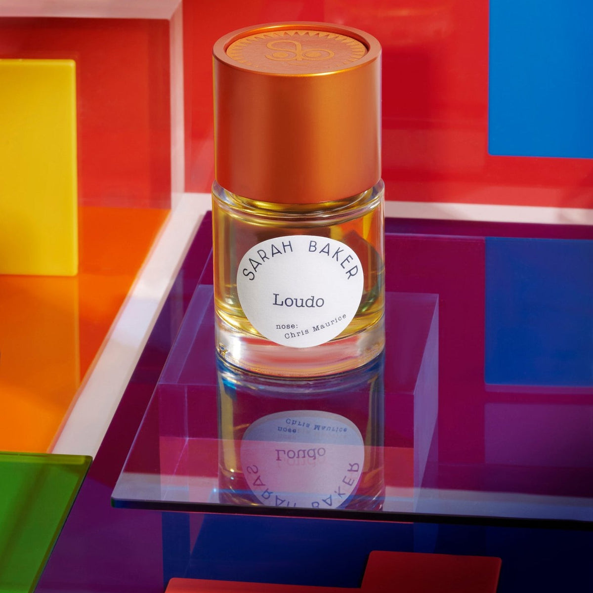 Sarah Baker Loudo on colored acrylic blocks