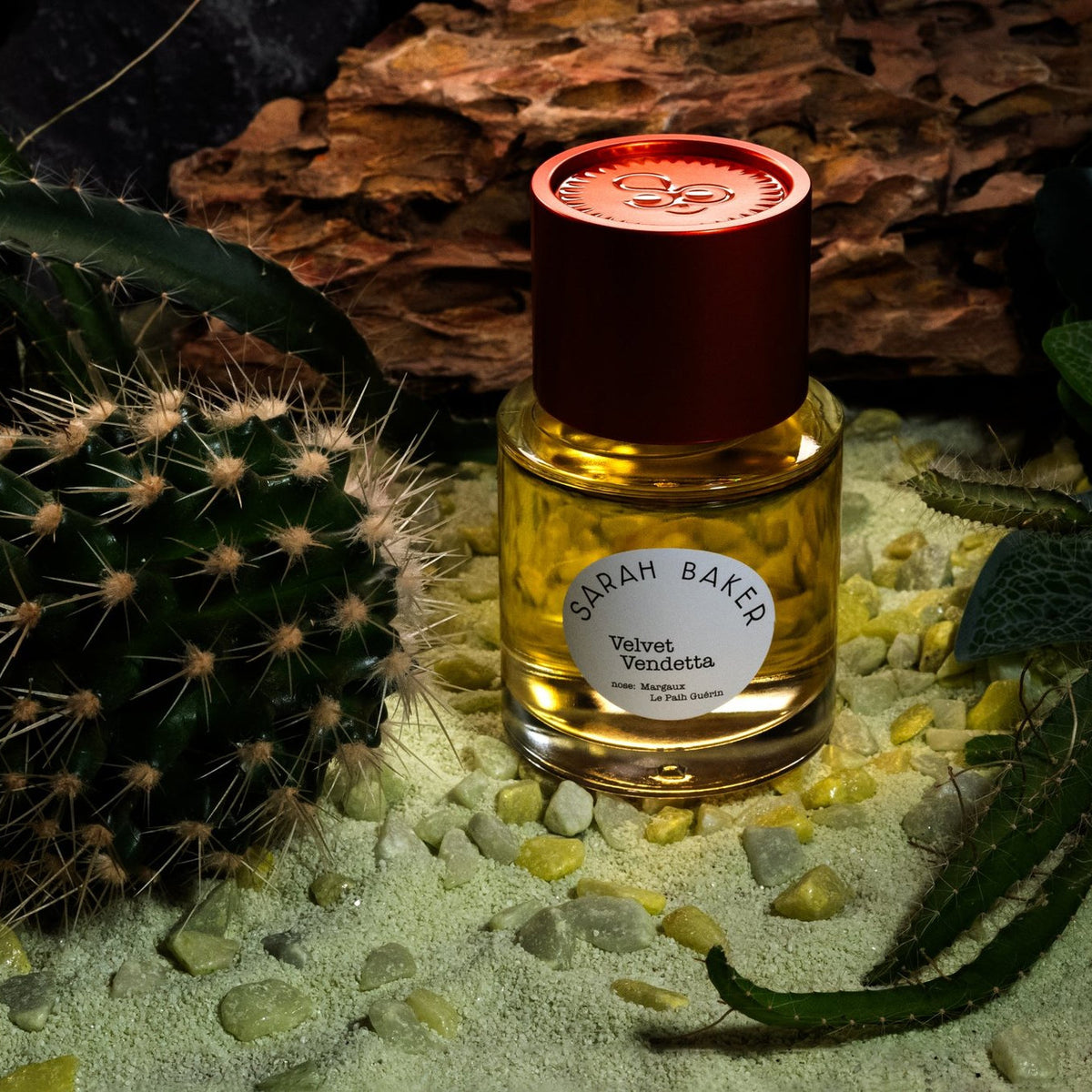 Sarah Baker Velvet Vendetta beside a cactus on pale sand