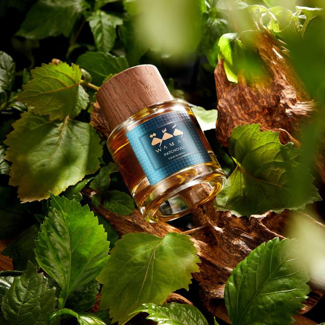 Wamaq Patchouli Extrait de Parfum bottle on bark in dappled light